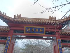 -桃花堤公园
