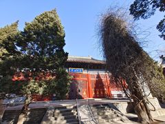 -北京艺术博物馆(万寿寺)