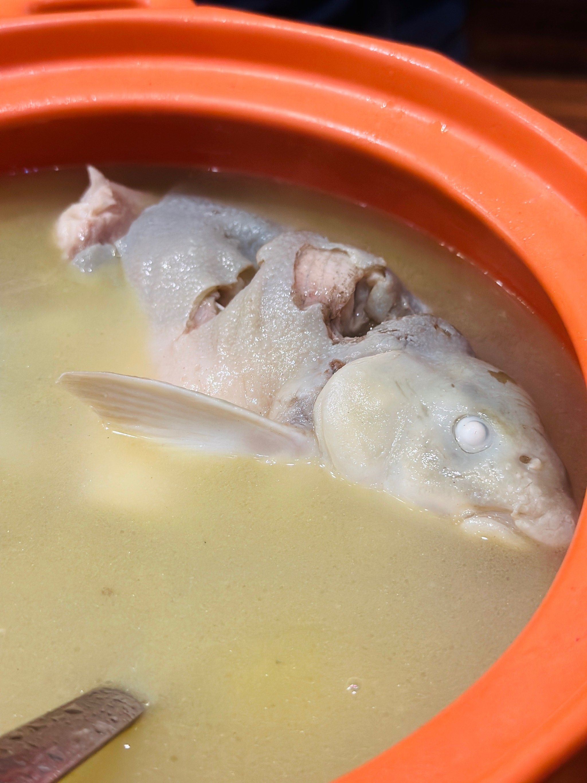 雅安三绝之雅鱼