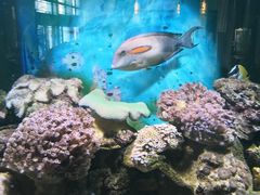 -碧中海汤泉汗蒸酒店