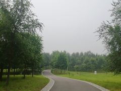-东郊湿地公园