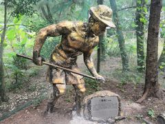 -北海金海湾红树林生态旅游区