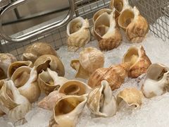 -深圳星河丽思卡尔顿酒店