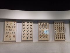 -陕西自然博物馆