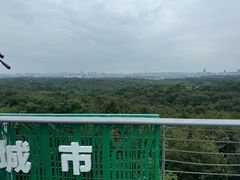 -南京老山国家森林公园