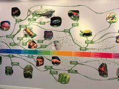 -香港科学馆
