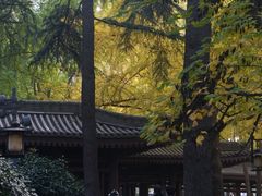 -大慈恩寺(大雁塔)