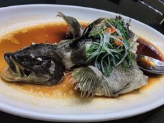 -万盛合(渔人码头店)