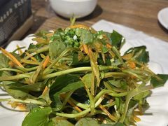 -老号尤兔头(幸福店)