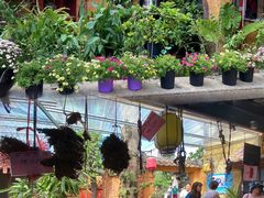 -园林美食城·本土农家菜(杨和镇店)