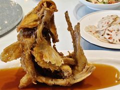 黄河大鲤鱼-老牌坊鲁菜名店(聊城美食岛店)