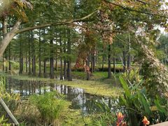 -昆山城市生态森林公园