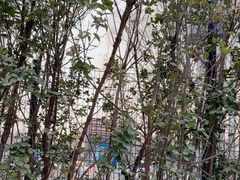 -奥林匹克森林公园南门-停车场