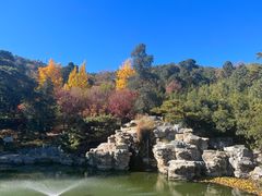 -北京西山国家森林公园