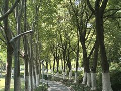 -天鹅湖体育公园