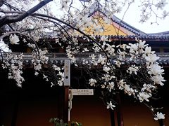 -龙华寺