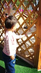 -萌宠亲子动物乐园(槐房万达店)