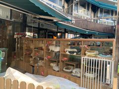 -爱侣宠医·鹦鹉专科·小型哺乳类·异宠专科(灵石路店)