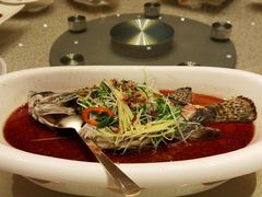 -桃源春晓中餐厅 TaoYuan Restaurant