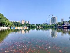 -西宁市人民公园(城西区)