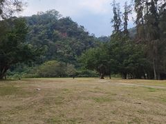 -南宁良凤江国家森林公园