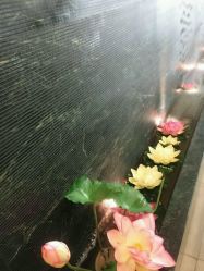 -脉道美容养生会所