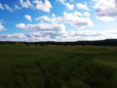 -塞罕坝国家级自然保护区