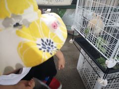 -马陆小张葡萄园农家乐