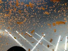 -STELLAR NIGHT CLUB星际酒吧(明发商业广场店)