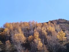 -西拉沐沦大峡谷园区