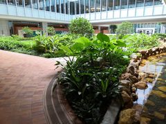 -香港大学