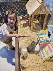 -酷嗒动物文化乐园(cutezoo西溪乐天城店)