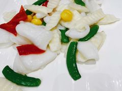 -丁老爷子苏香圆