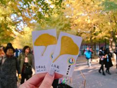 -辽宁大学(崇山校区)