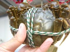 DSC02349-丫丫蟹庄·苏式园林农家乐·阳澄湖大闸蟹(阳澄湖莲花岛店)