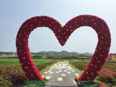 -光明小镇欢乐田园