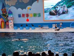 -蓬莱欧乐堡海洋极地世界