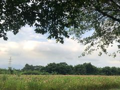 -广东花都湖国家湿地公园