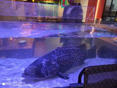 -十六蒲(桂林路店)