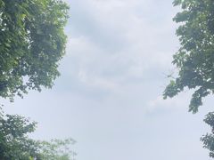 -灵顺寺