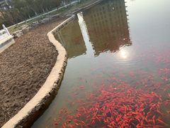 -西海子公园