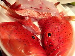 -鼎鼎香·港式火锅(北京SKP店)