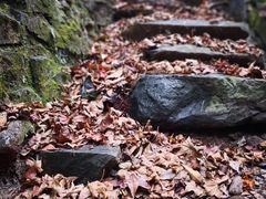 -藏龙百瀑风景区