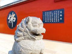 -百脉泉景区