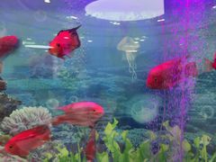 -雅悦齿科(顾村公园店)