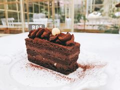 温哥华黑巧克力-RGF(巨鹿路店)