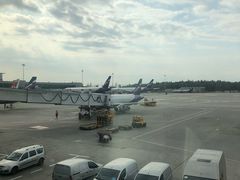 -谢列梅捷沃国际机场