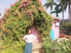 -广州花之恋城堡酒店