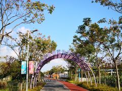 -上海长兴岛郊野公园