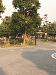 -水八仙生态园